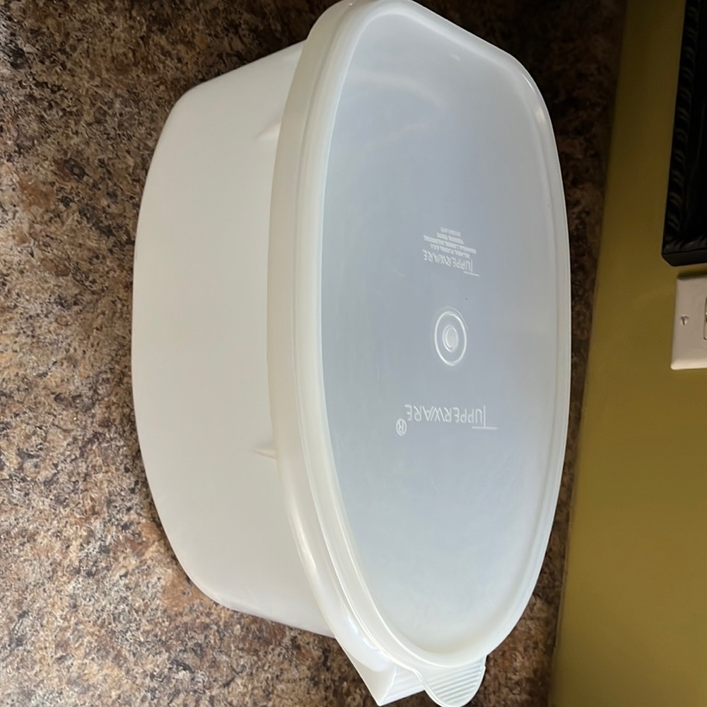Vintage Tupperware ham roast meat container